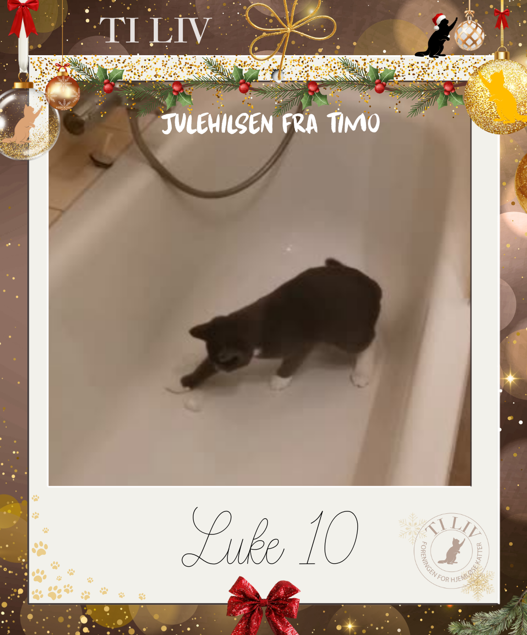 Adventkalender - Luke 10