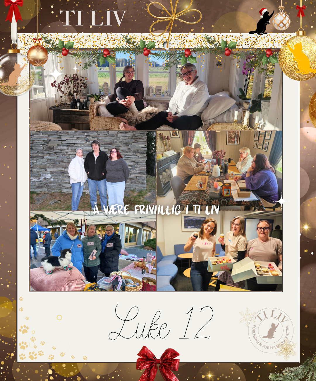 Adventkalender - Luke 12
