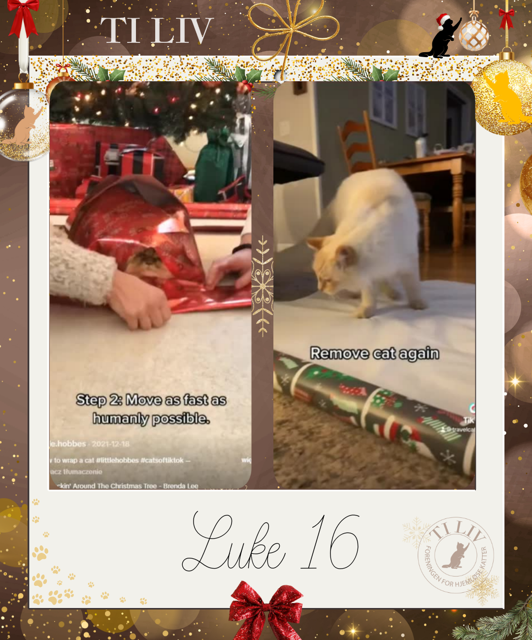 Adventkalender - Luke 16