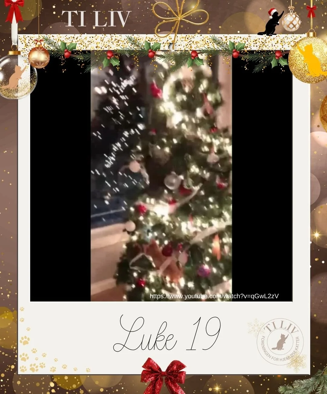 Advenkalender - Luke 19