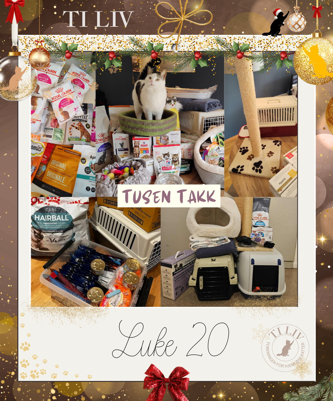 Adventkalender - Luke 20