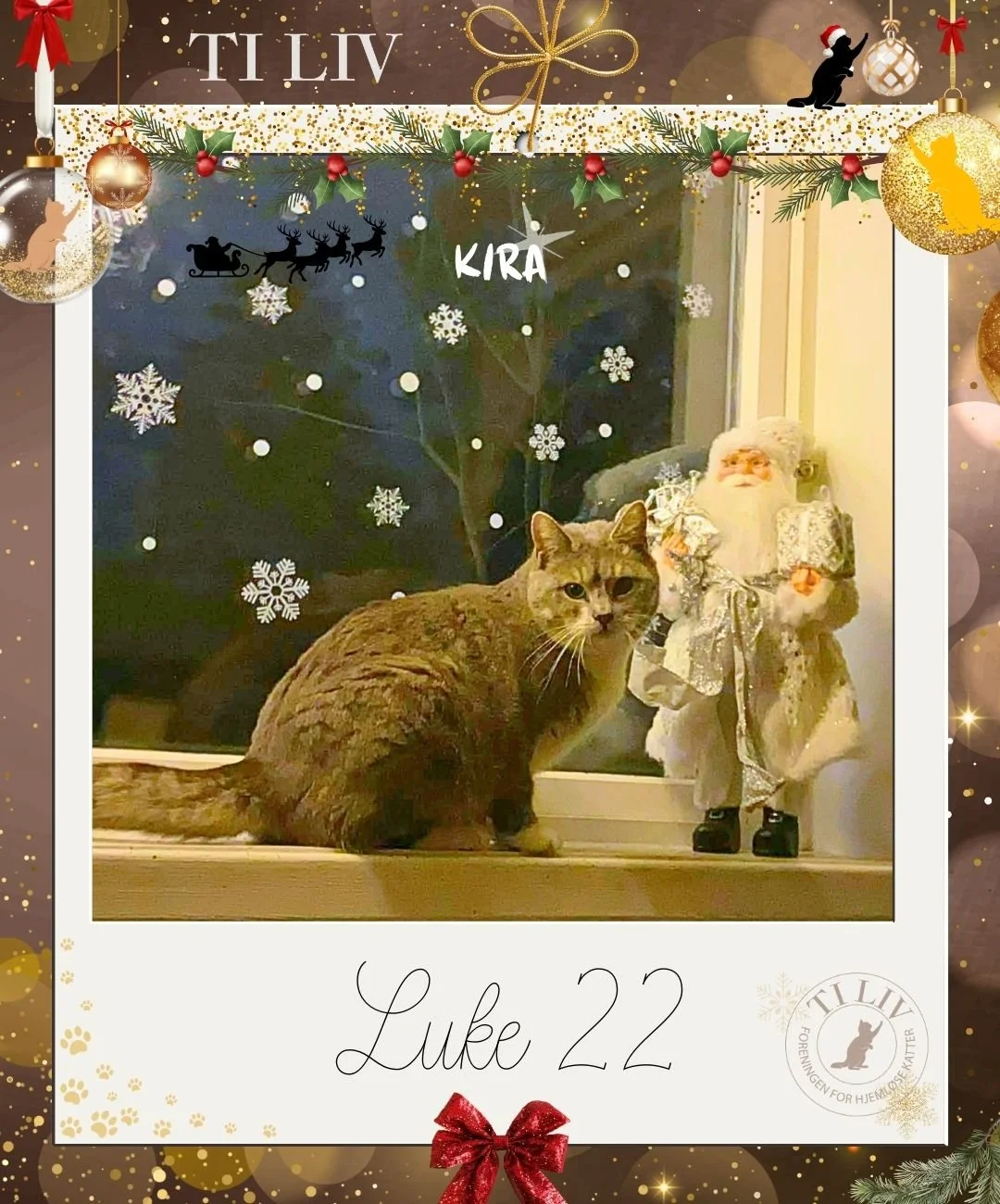 Adventkalender - Luke 22