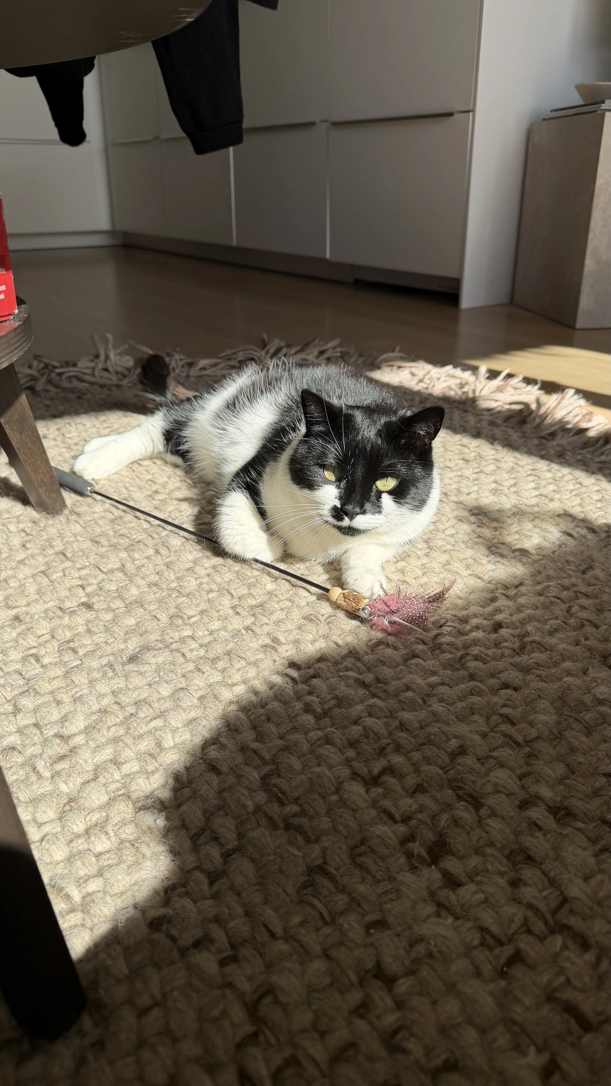 taco (3).jpeg