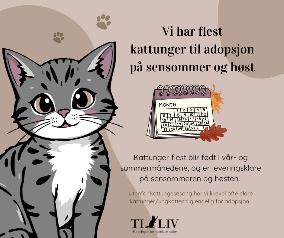 Kattunger hÃ¸st.png