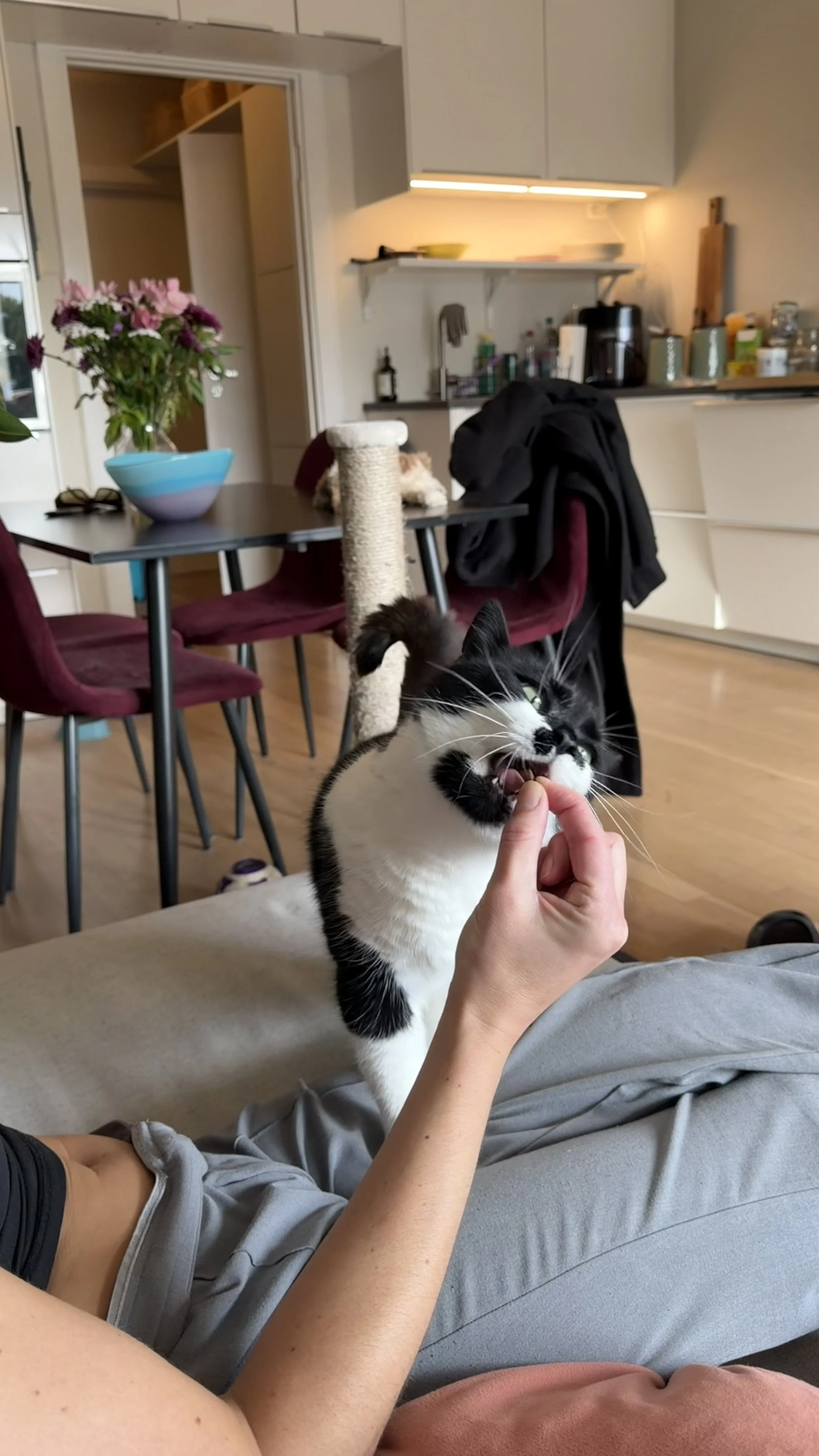 taco (5).jpeg