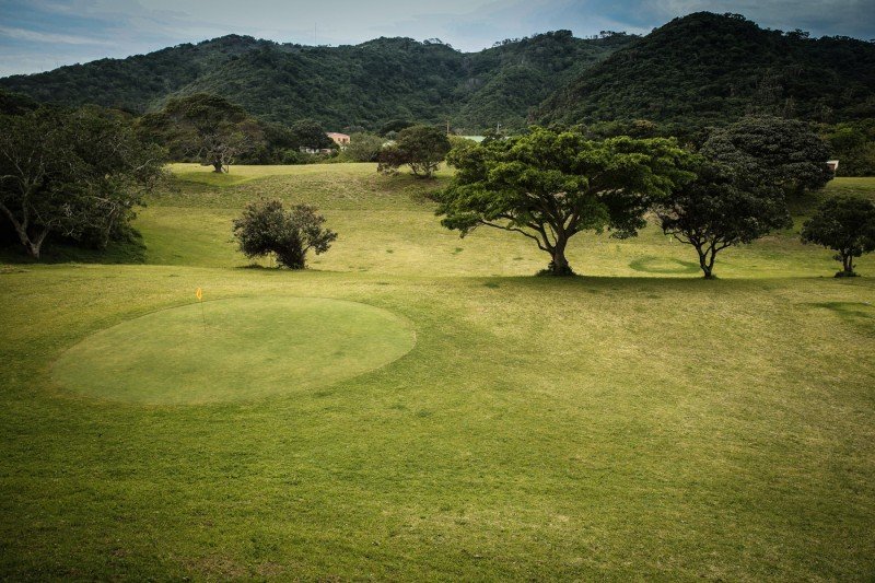 golf course with green and trees in a hilly landscape