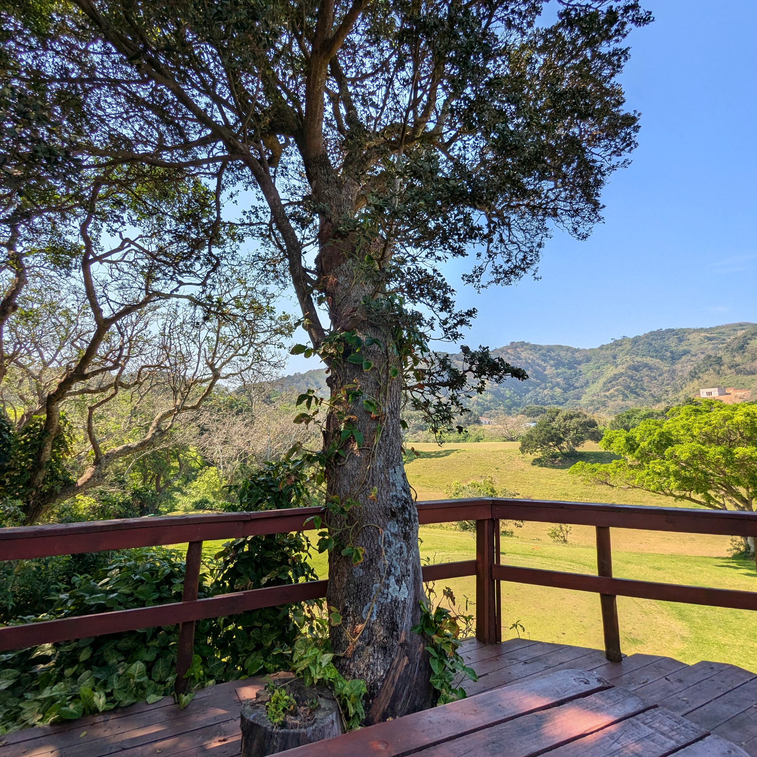 PSJ Course View 001.png