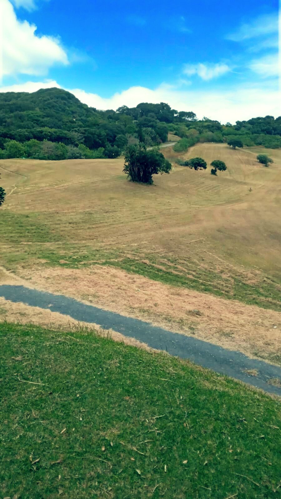 Hilly landscape with patches of green grass, a dirt path, several scattered trees, and a partly cloudy sky.