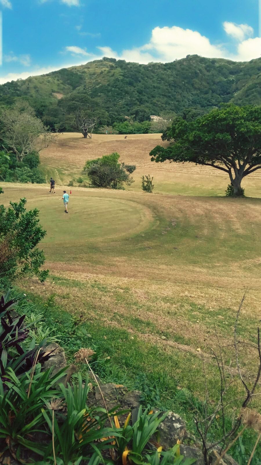 A scenic view of a golf course with three people playing, surrounded by lush green trees and rolling hills in the background under a blue sky with white clouds.