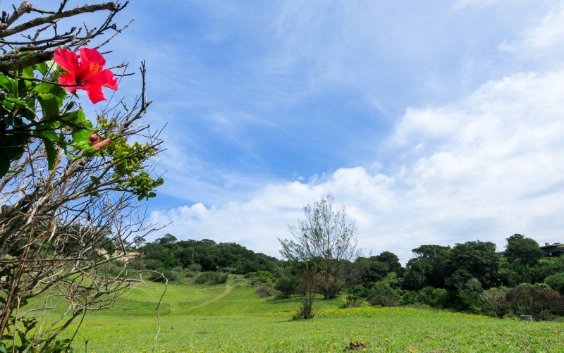 Landscape with a red hibiscus flower in the foreground, green grassy field, scattered trees, and a partly cloudy blue sky.
