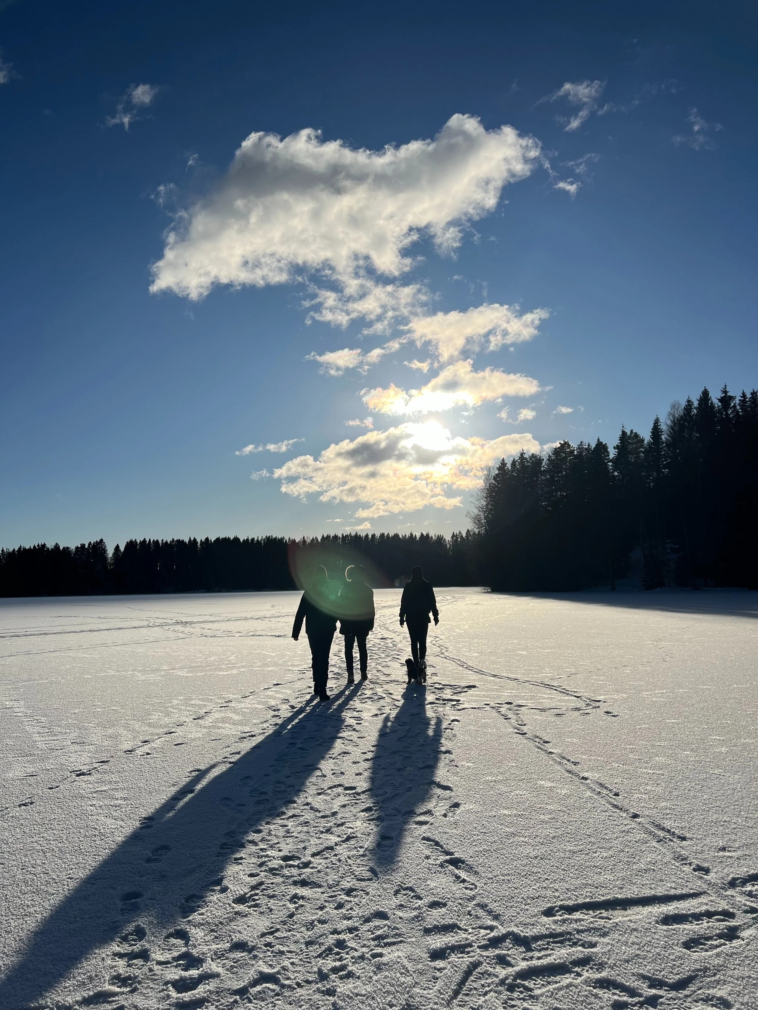 Wellness gårtur.jpg