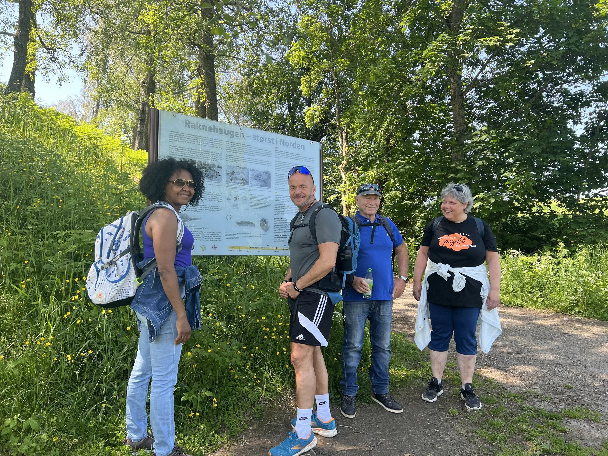 Raknehaugen.jpg