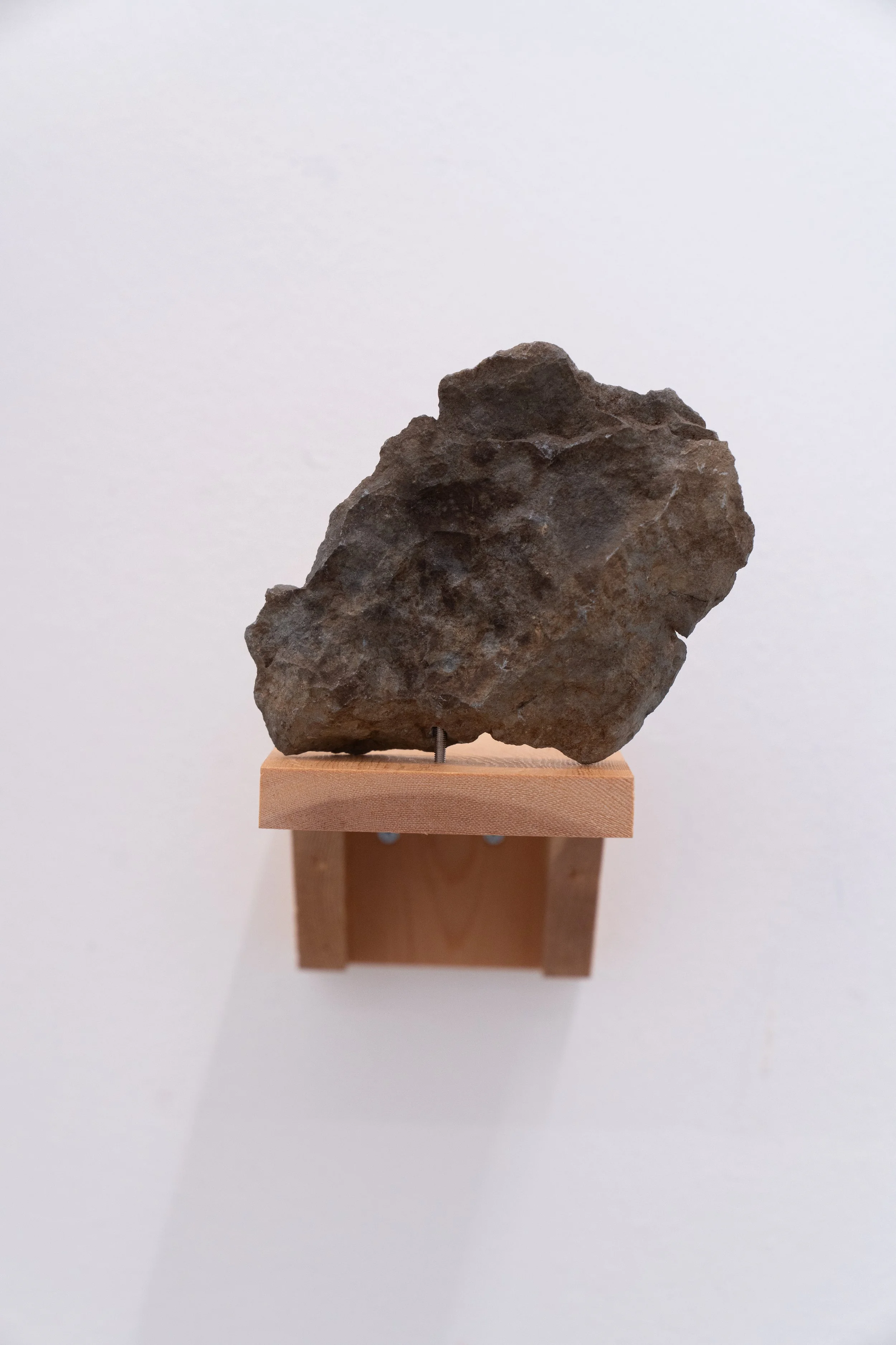 DSC07126.jpg