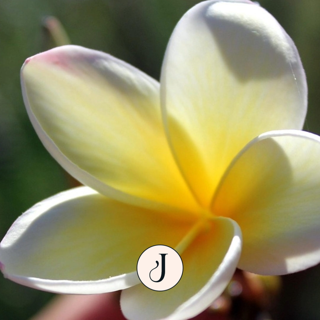 Joene_parfum_Fleur_de_Tiaré.png