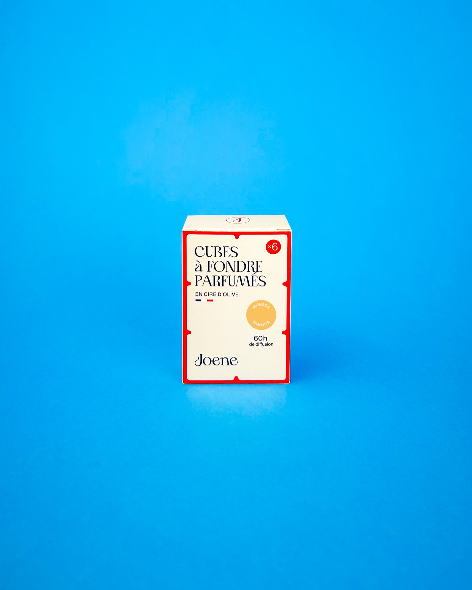 Cubes_a_fondre-02_MIMOSA.jpg