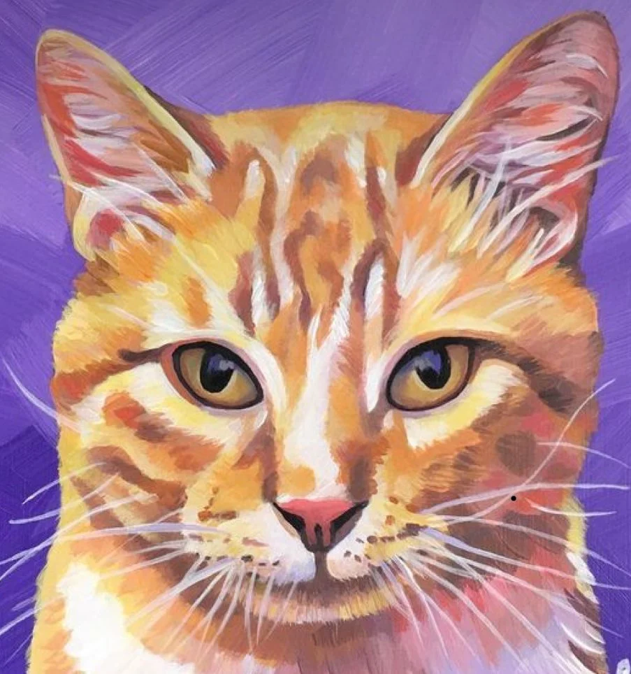 pinta tu mascota 3.jpg