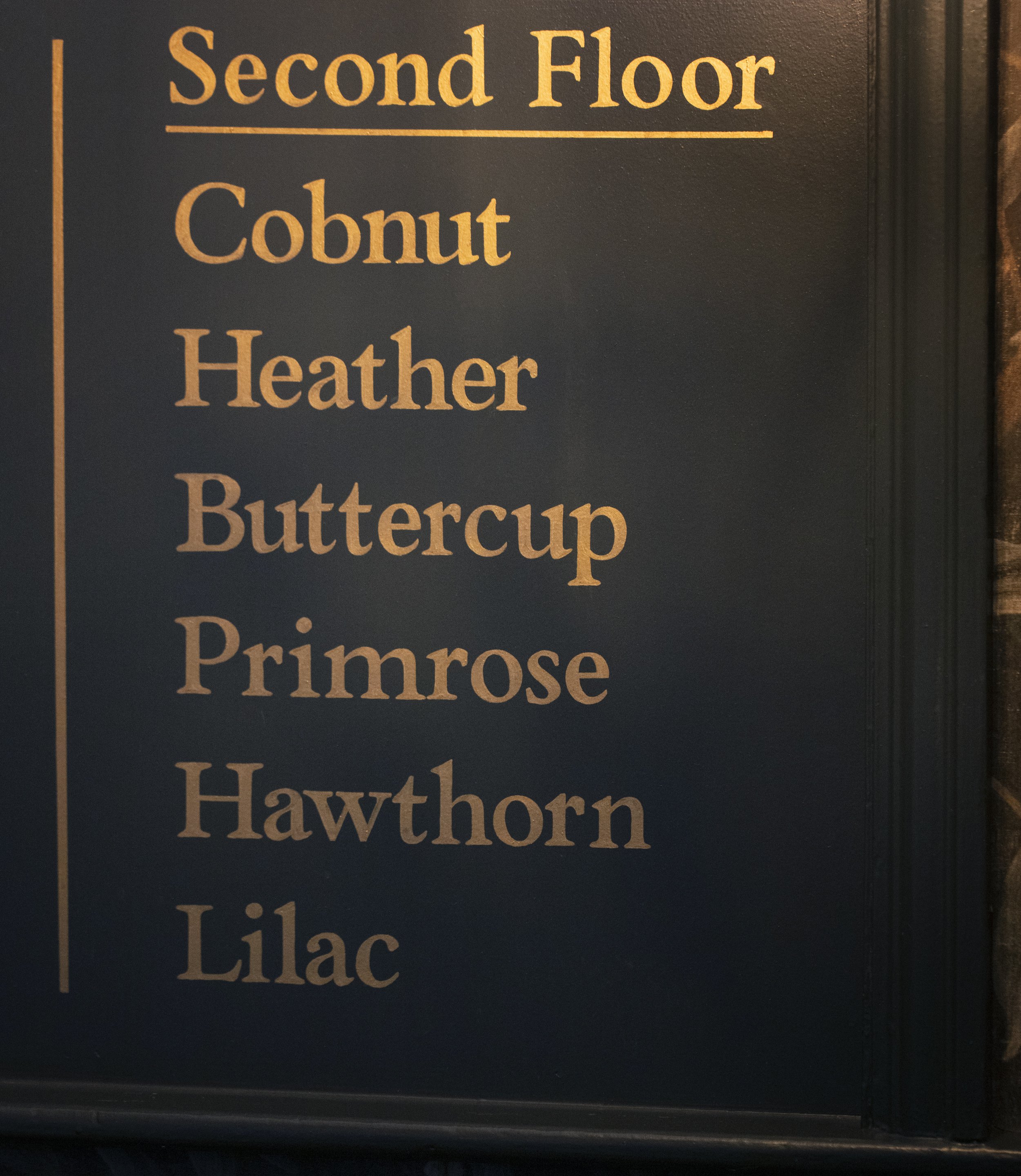 0C4A6644.jpg