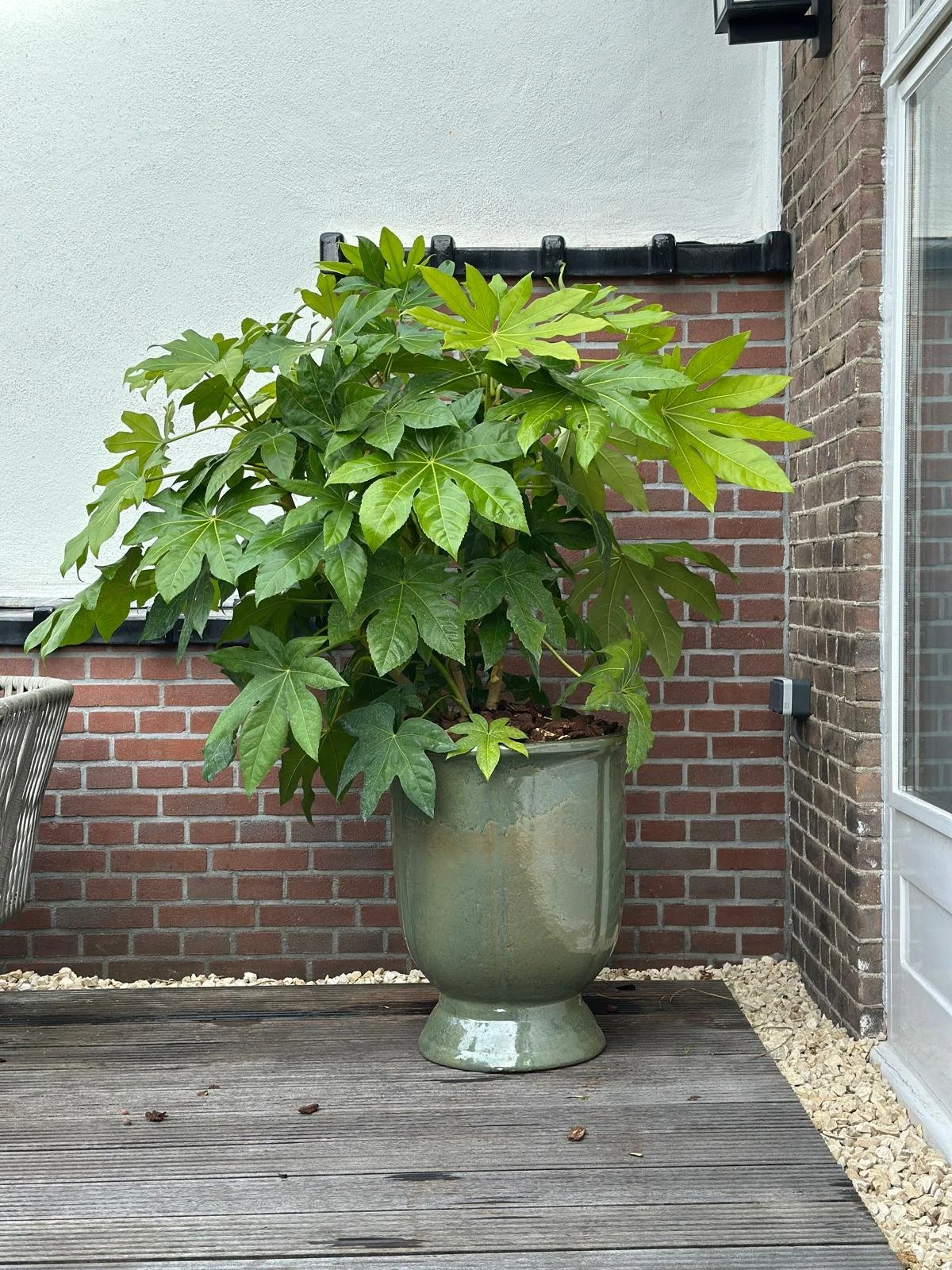 Cozy Home Amsterdam Terrace 2.jpeg