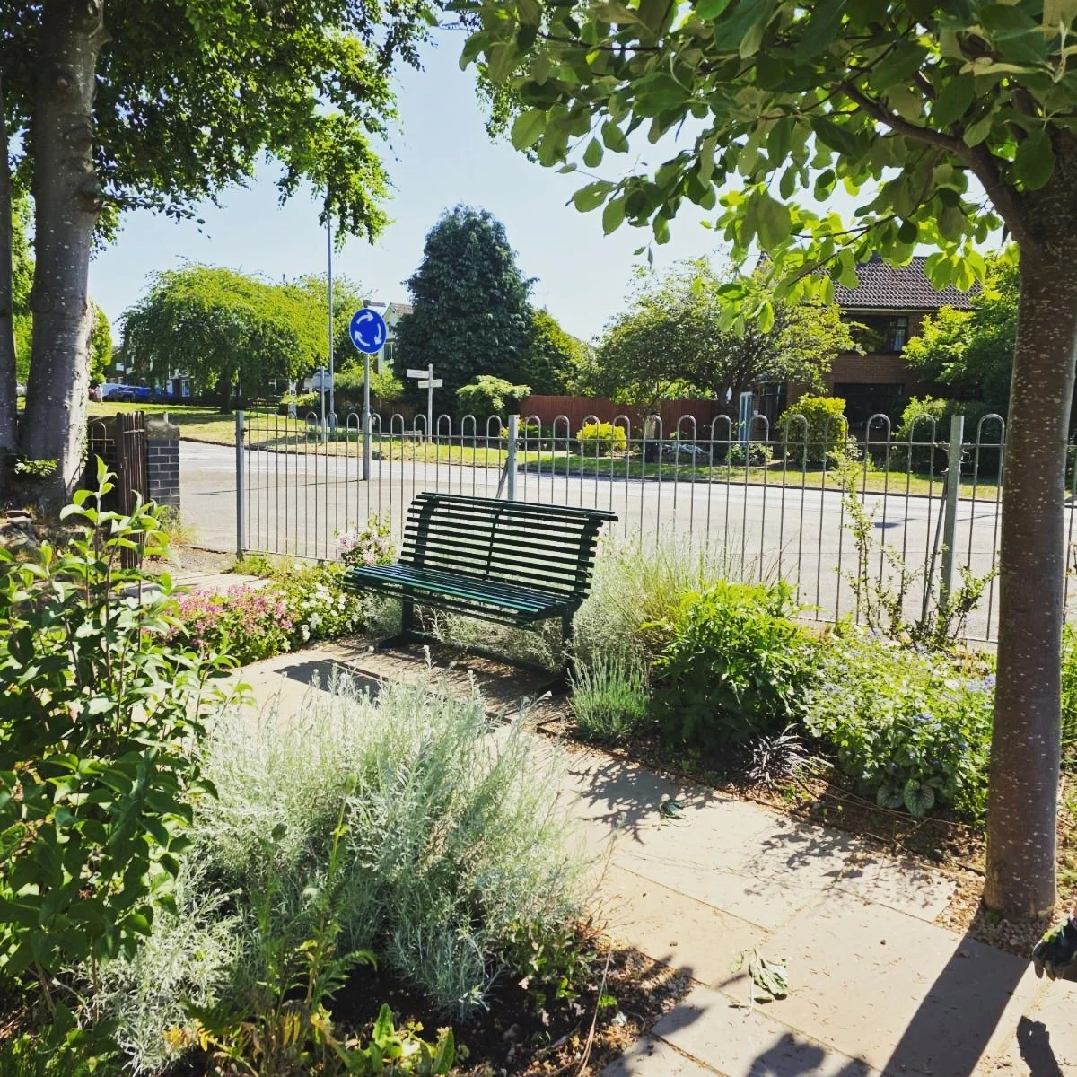 The Sensory Garden at Cosby Library - designed and planted by Natura - has entered its second year with community maintenance and special initiatives, including bulb planting by local schools.