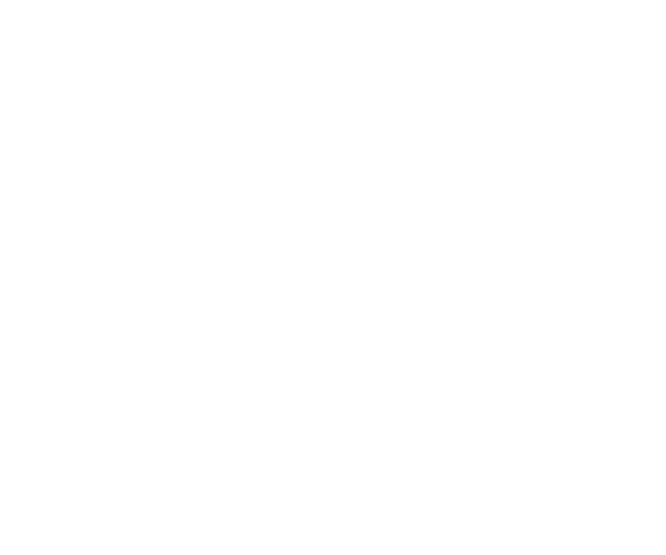 Studio Daniela Juvall
