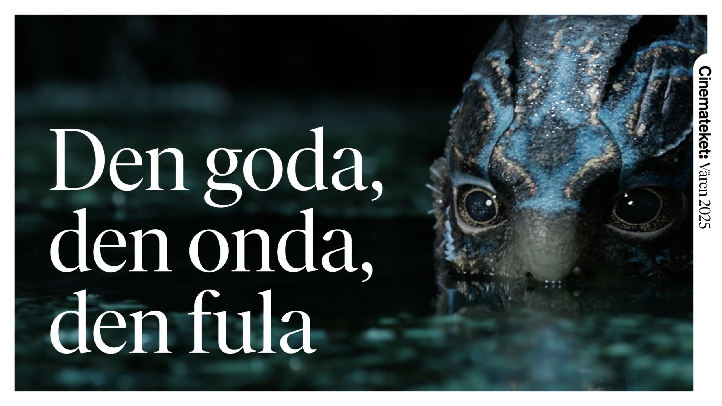 Skärmavbild 2026-08-20 kl. 12.12.01.png