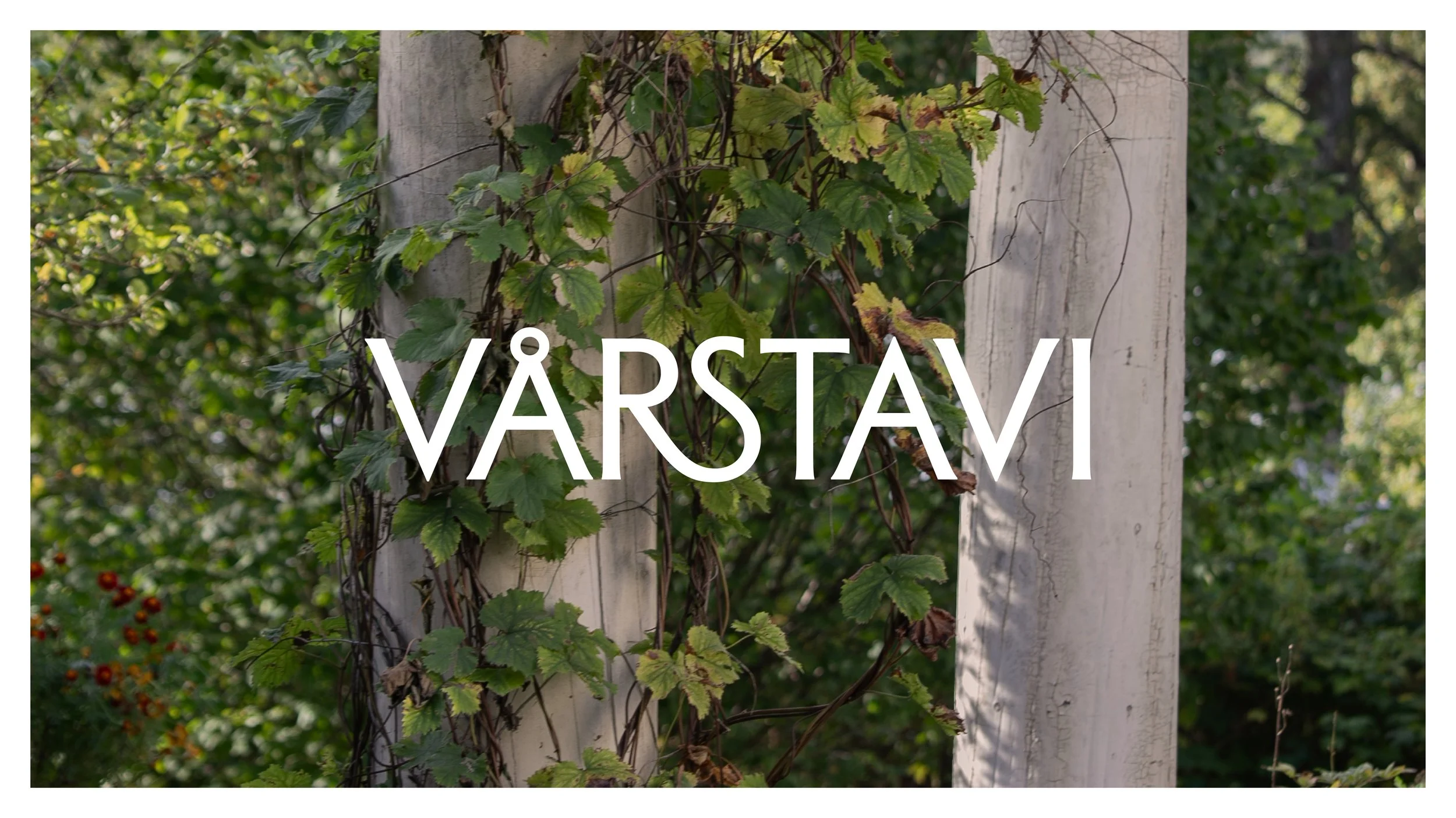 Vårstavi