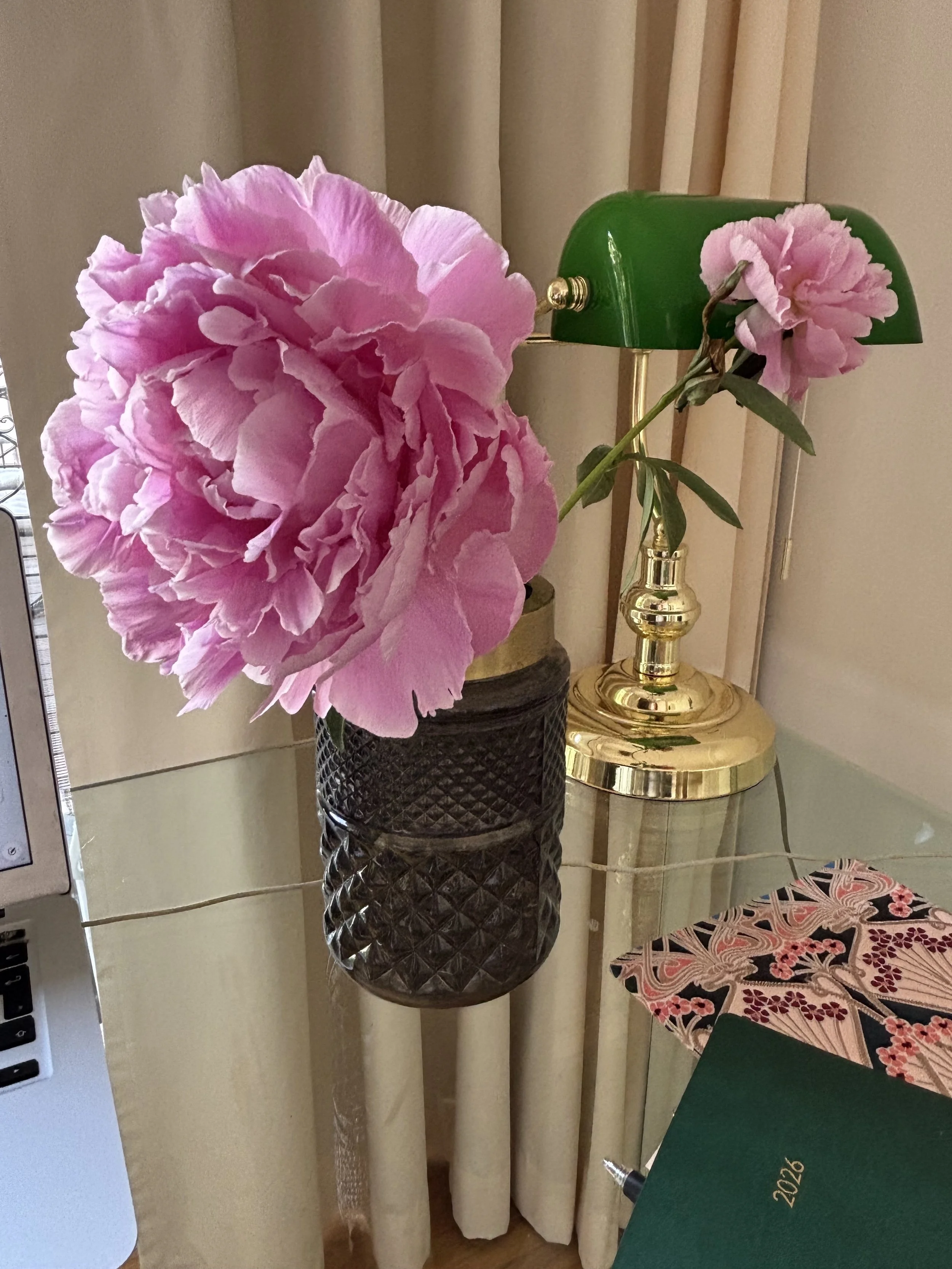 Peony love