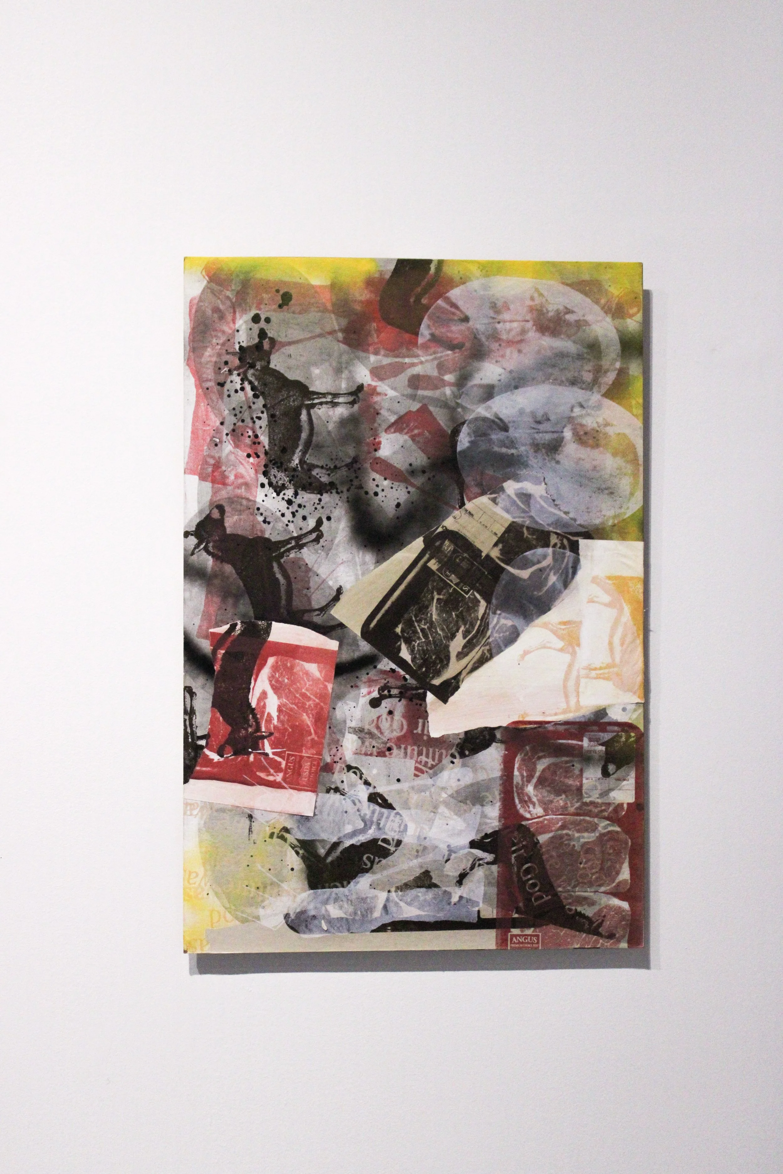 IMG_9910 (1).jpg
