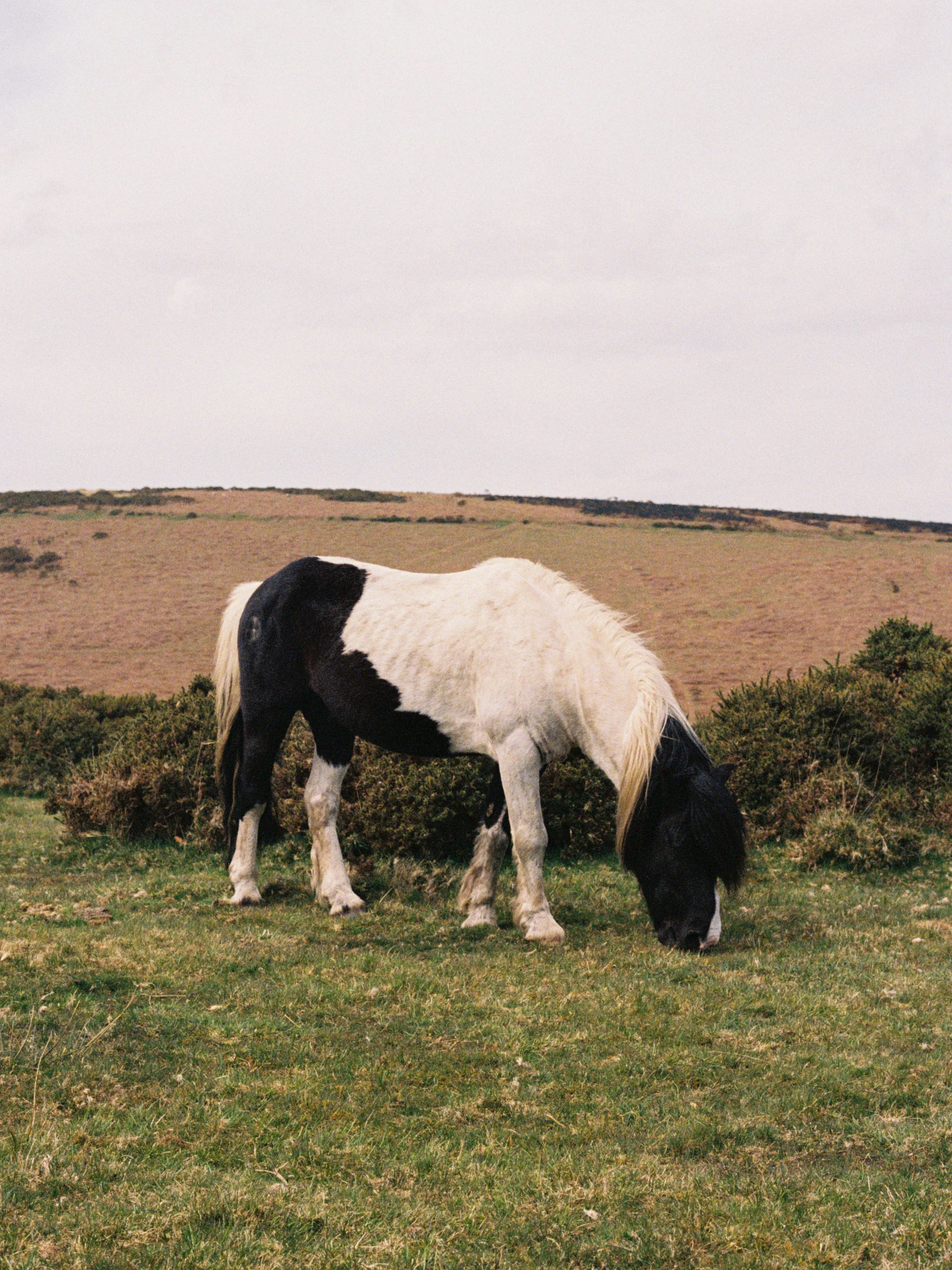 125-000054.jpg