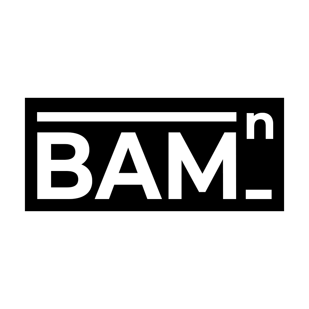 BAMN – By Any Means Necessary