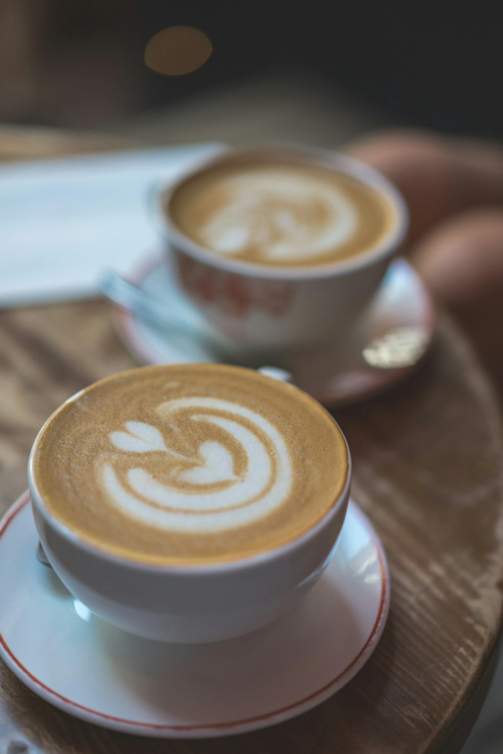 coffee and mycotoxins