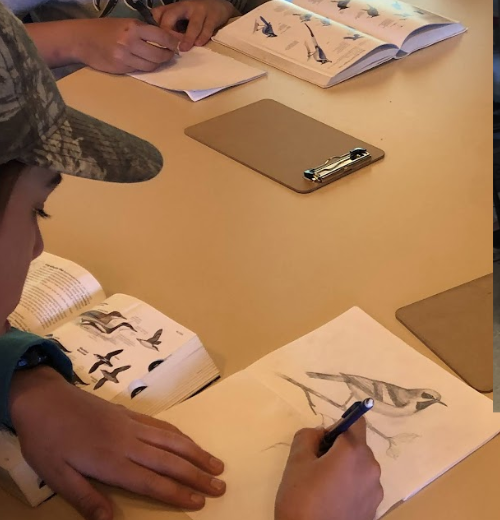 Screenshot 2026-01-19 at 1.51.11 PM.png