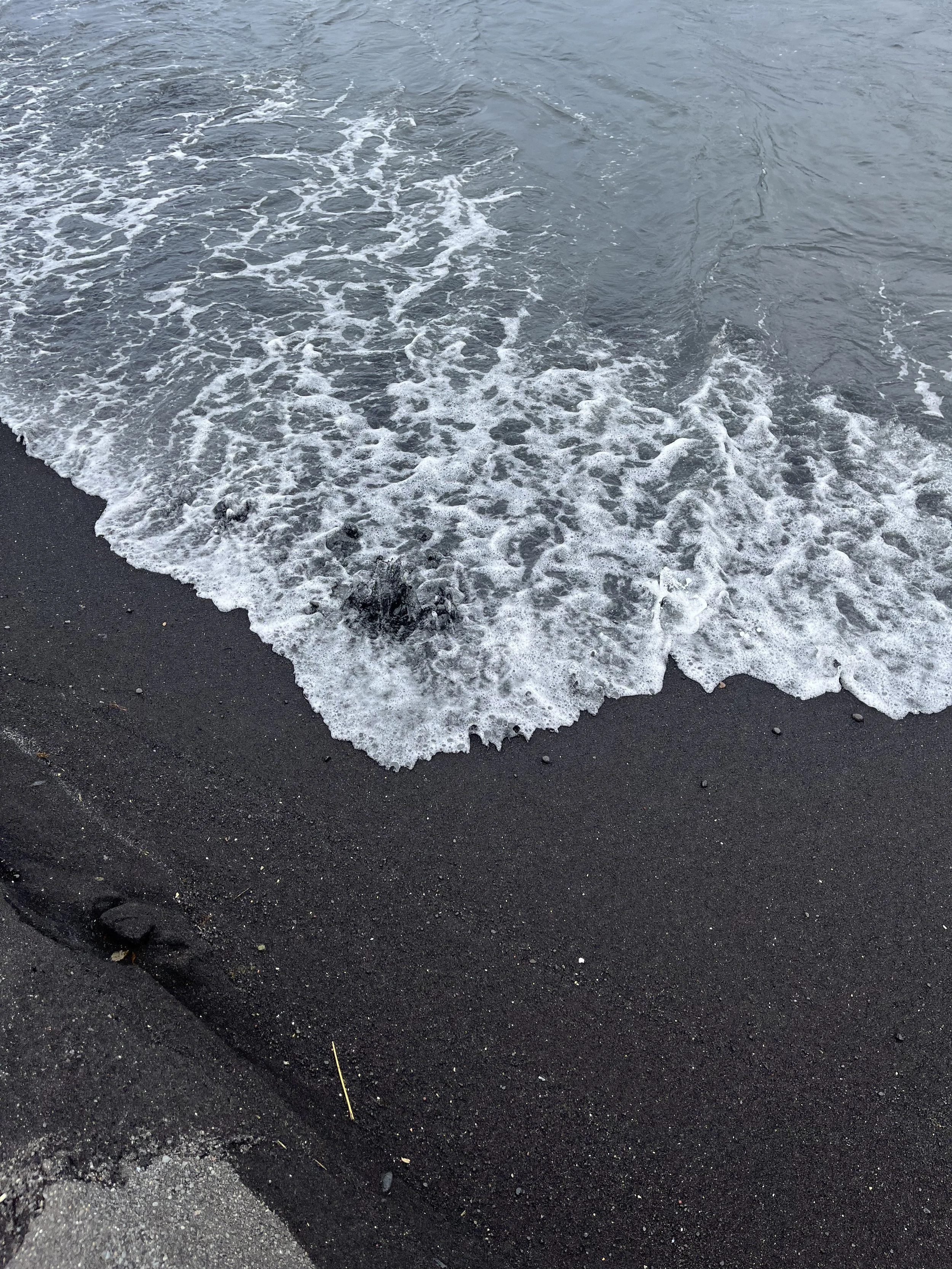 IMG_2452.jpeg