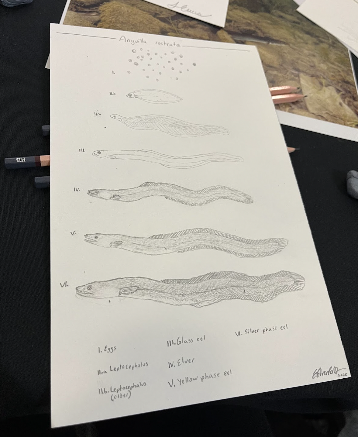 Screenshot 2026-01-19 at 1.59.59 PM.png