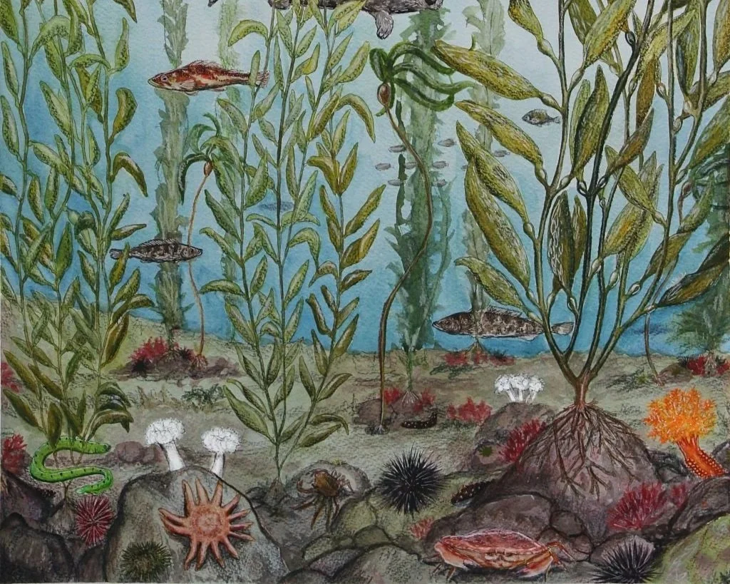 Taxonomic & Ecological