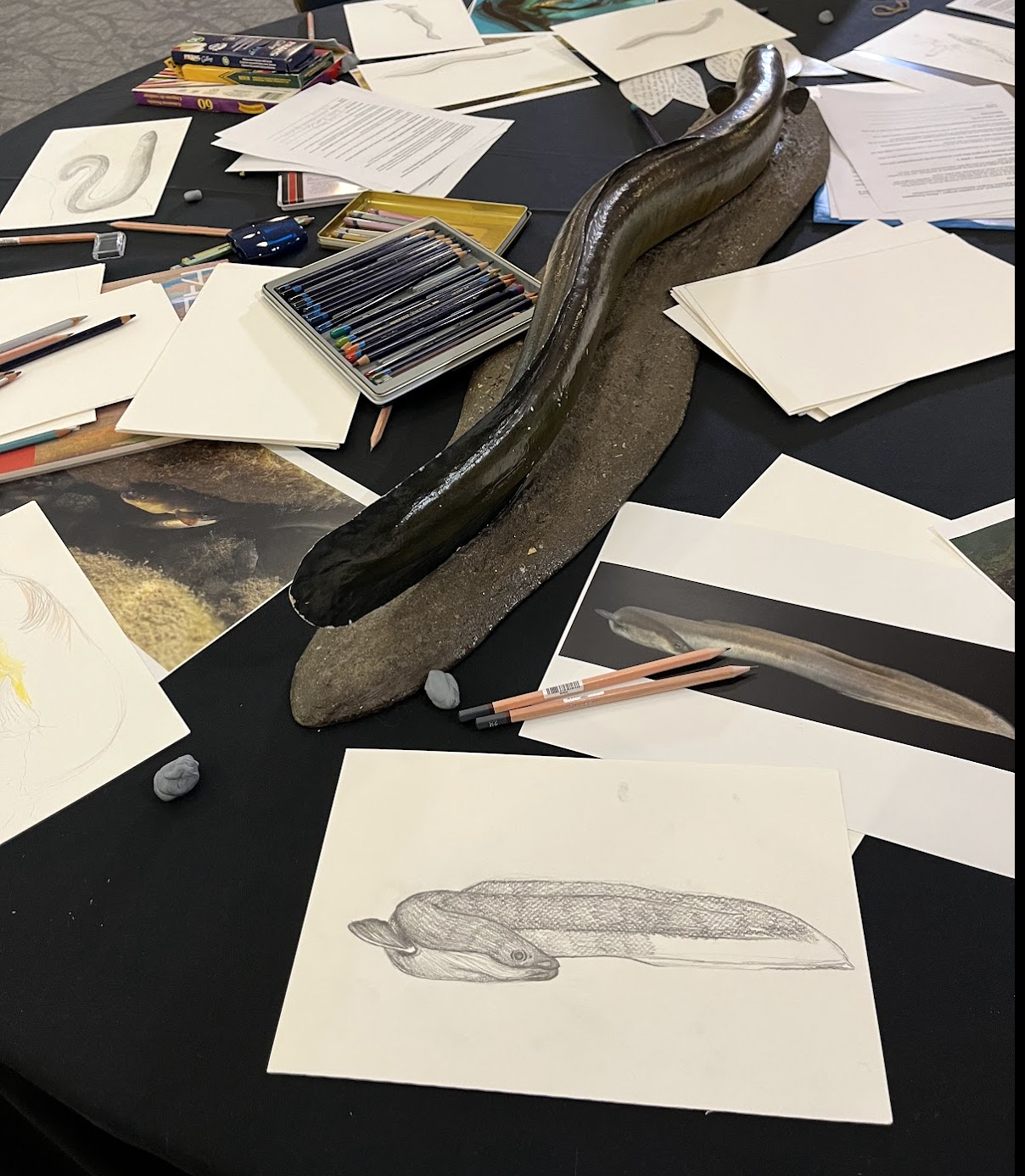 Screenshot 2026-01-19 at 1.56.09 PM.png