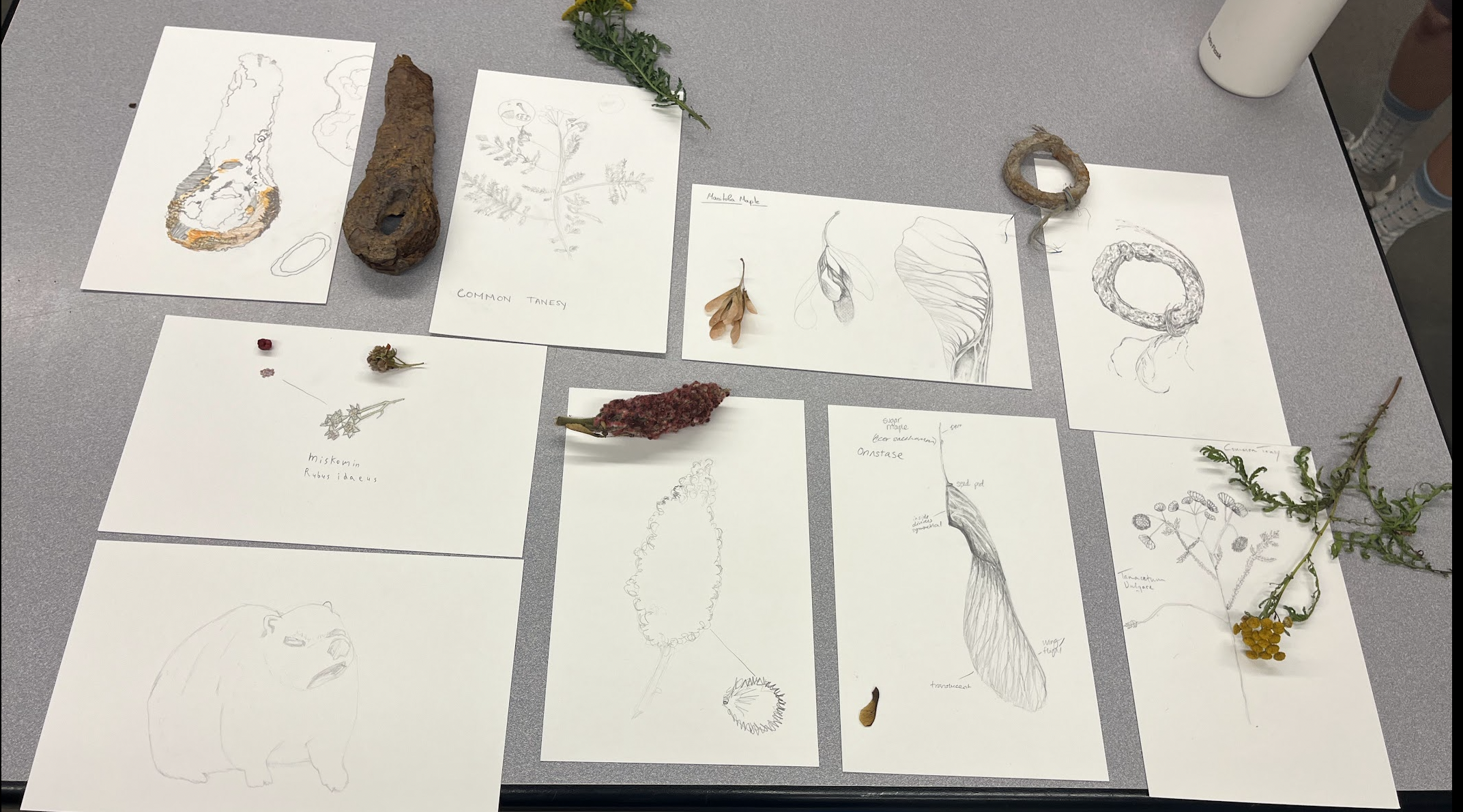 Screenshot 2026-01-19 at 1.56.32 PM.png