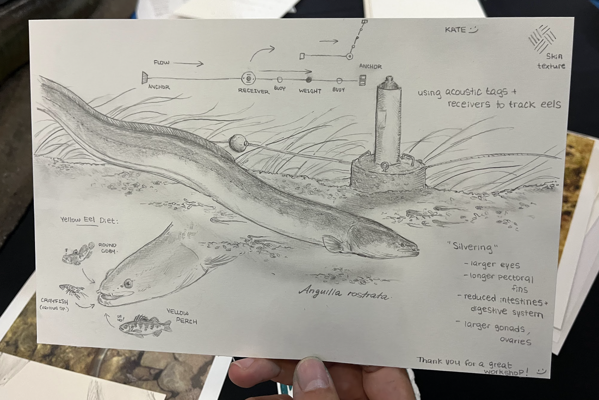 Screenshot 2026-01-19 at 1.55.39 PM.png