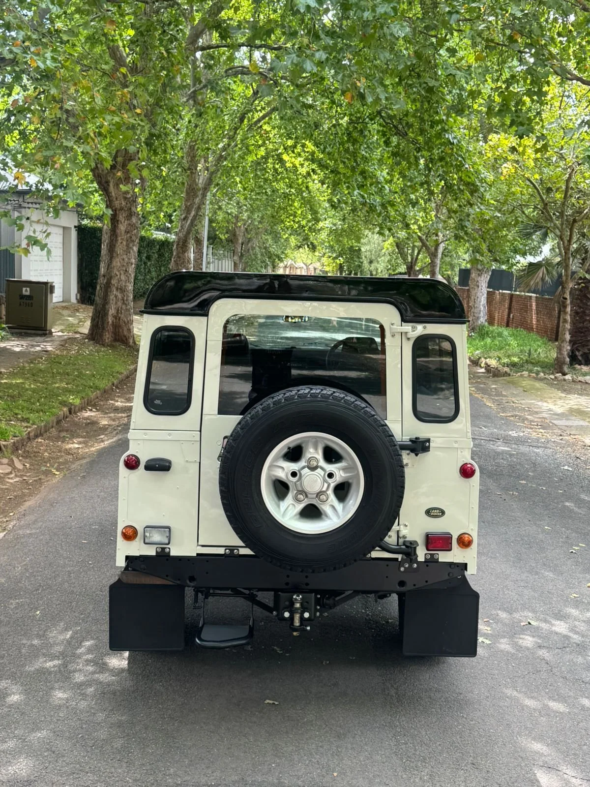 PHOTO-2026-01-06-03-02-33 2.JPG