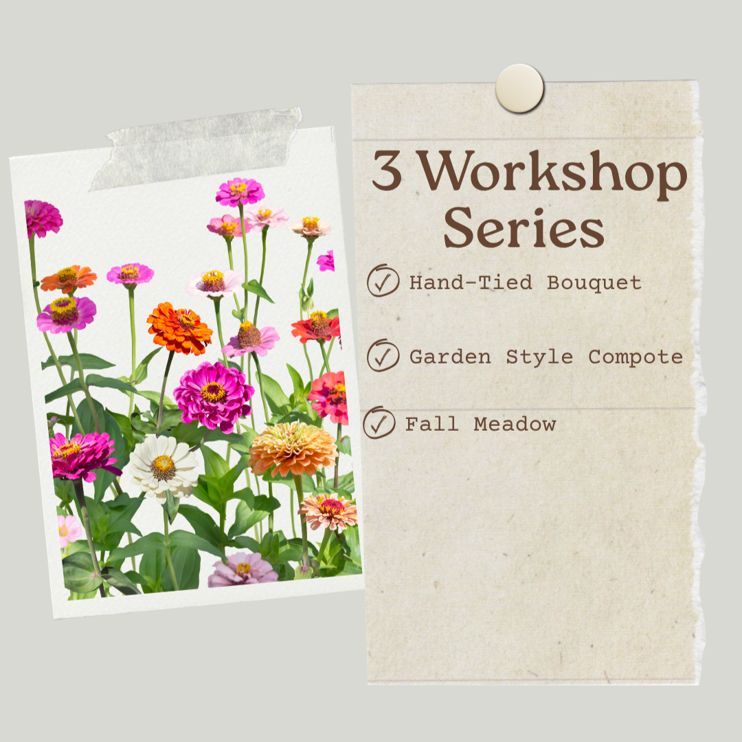Workshop.png
