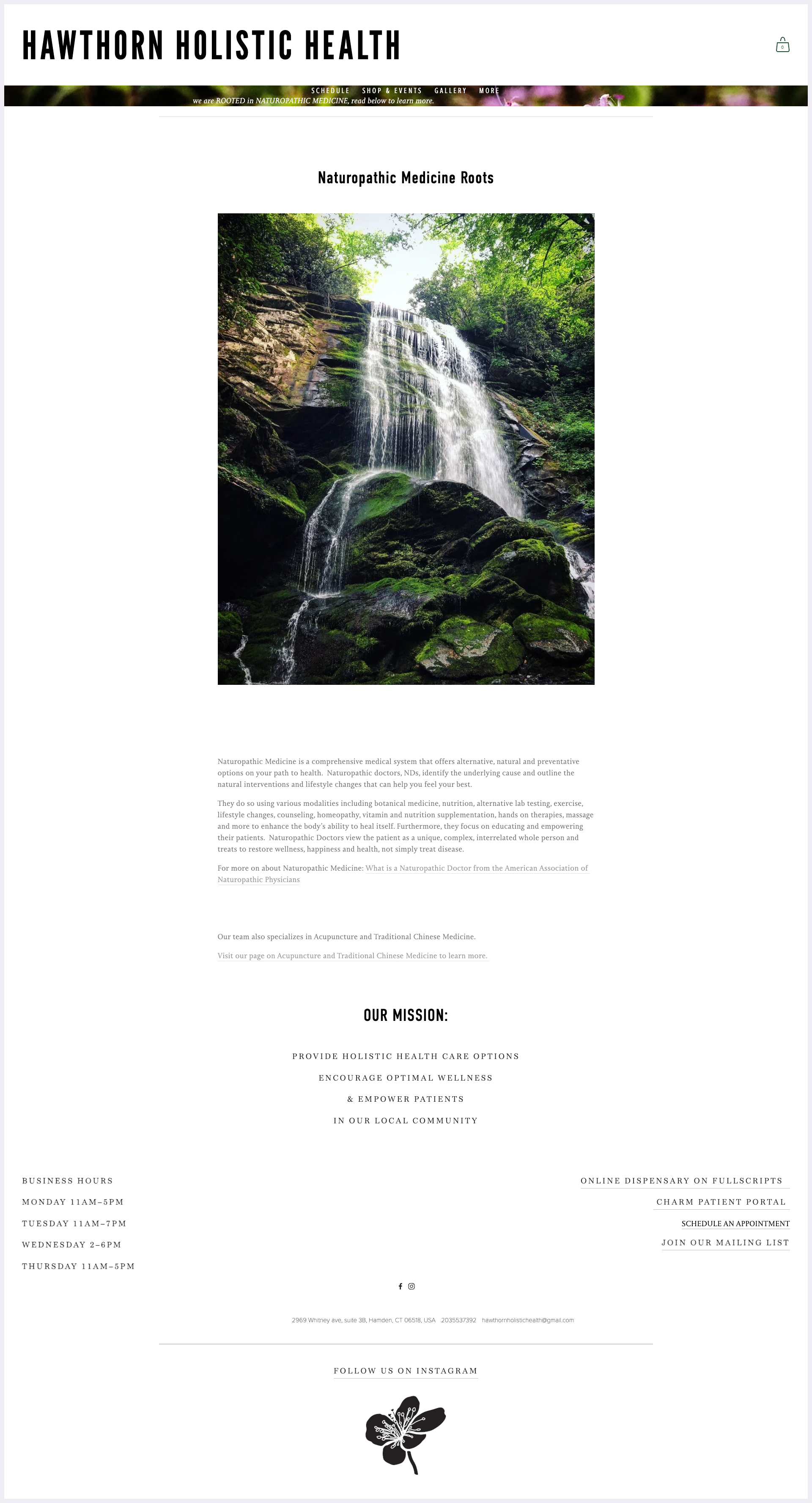 Tiny, image-based navigation is inconsistent with the rest of the site and too thin to be legible. Poor wording placement and a repeated mission statement further weaken clarity and cohesion.