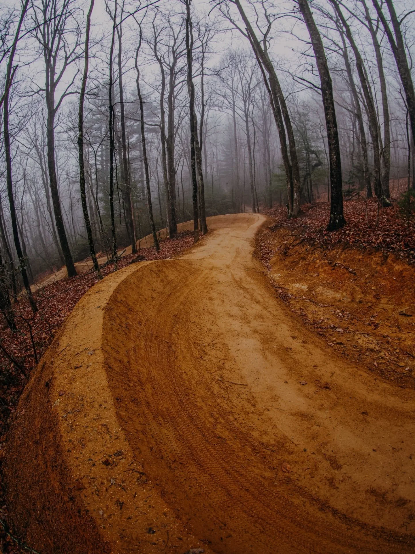 We don&rsquo;t even have the words for how dialed these Tumbleweed berms turned out. Absolute perfection. 👌