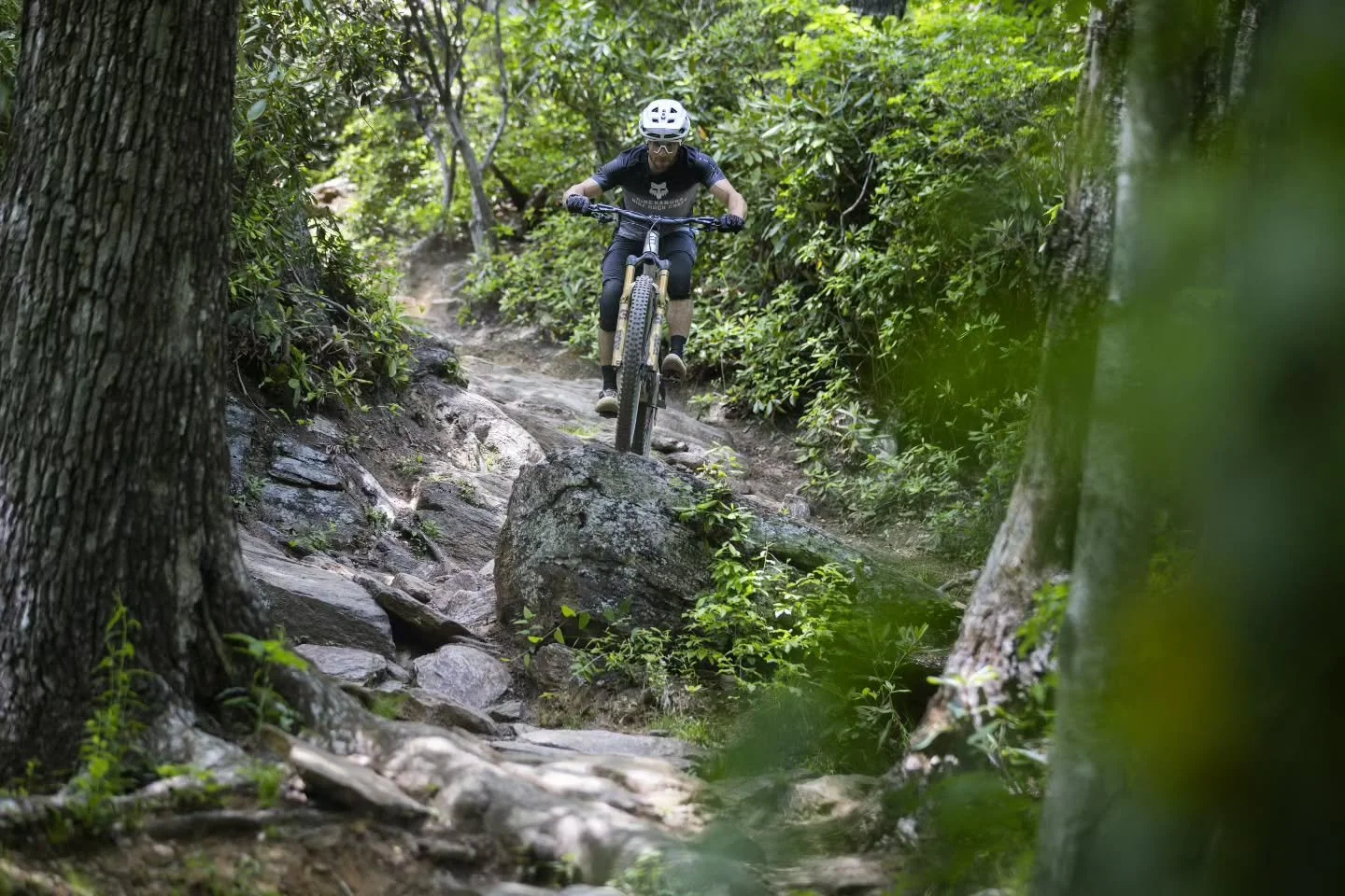 Good times out on our advanced group ride at Bike Fest this weekend! Our crew led a rowdy lap down Buckwheat and Bennett Gap&mdash;two classic Pisgah trails packed with technical terrain, fast descents, and plenty of good times.

Stoked to be a part 