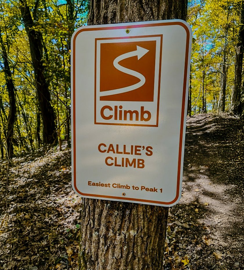 Ride_Birmingham-14.jpg