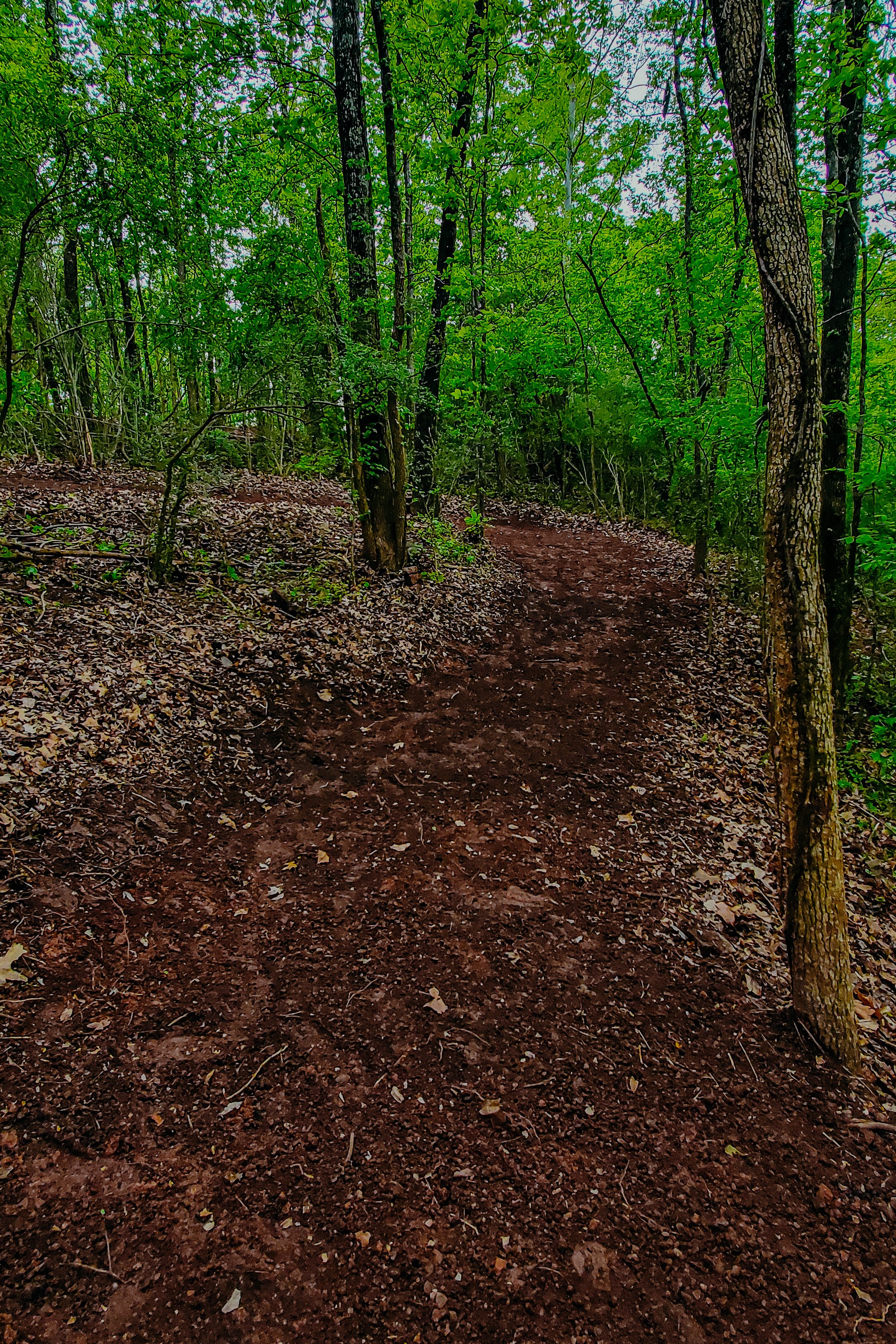 Ride_Birmingham-04.jpg