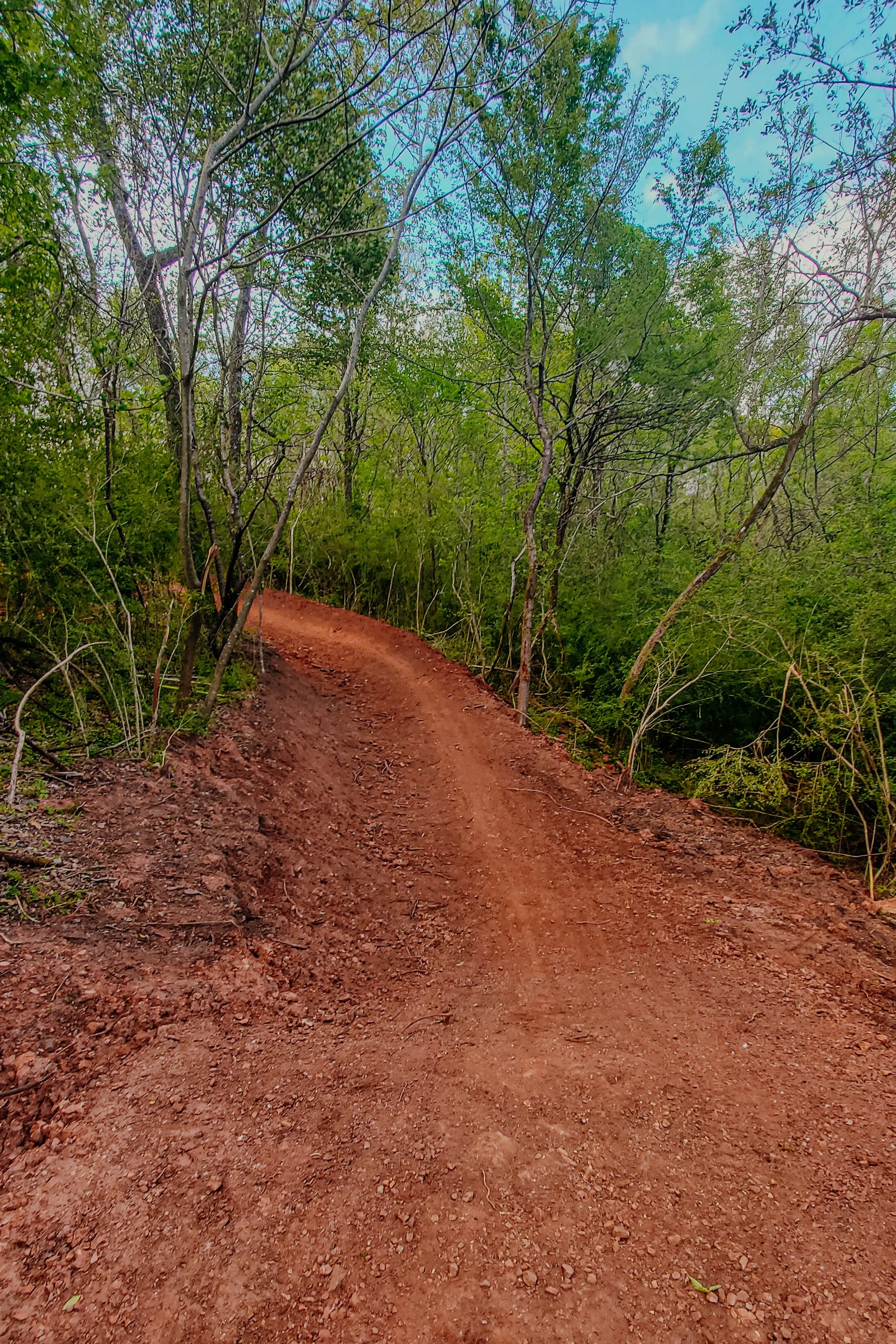 Ride_Birmingham-11.jpg