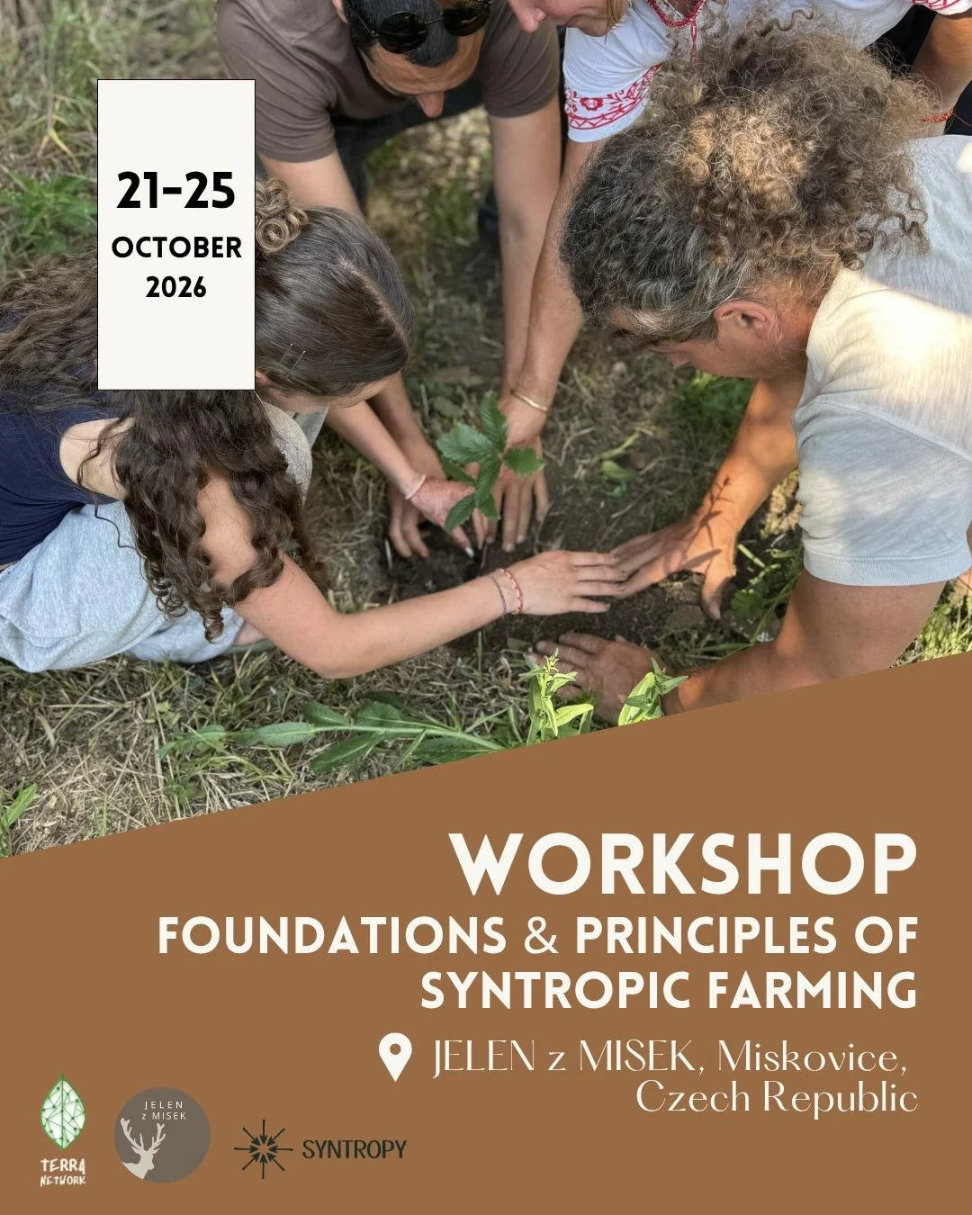 Foundational Workshop @Jelen z MISEK, CZ