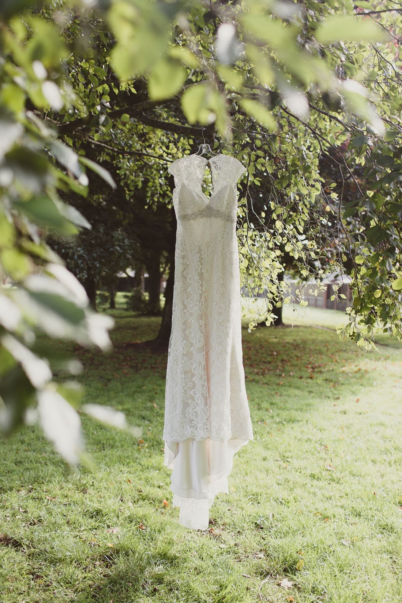 Wedding dress hanging outside from a tree branch