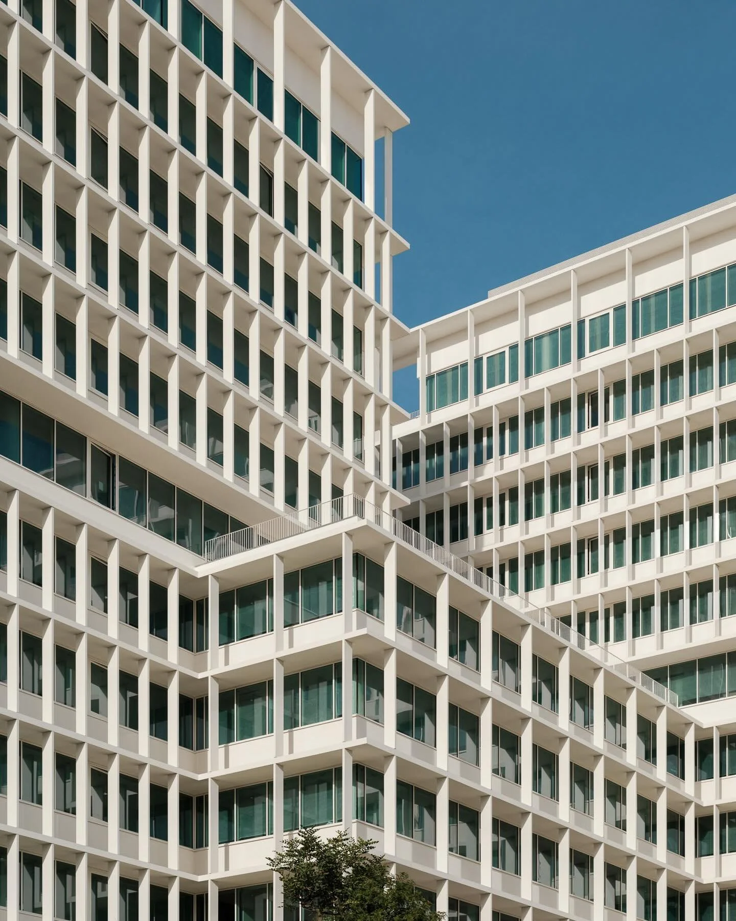 WellBe Lisbon

Architecture by @saraivaeassociados. Developed by @atenor_sa.

📸 emontenegro / architectural photography
www.emontenegro.net

#architecture #photography #architecturalphotography