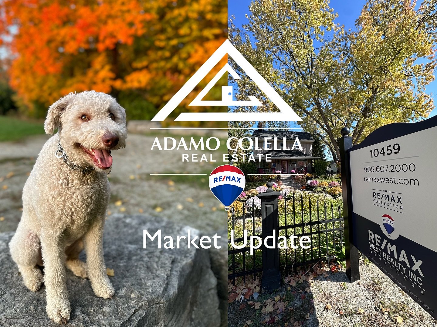 📣A Busy October Market Update
.
.
▶️We had a busy month helping and servicing our clients from lease to sales! Always thankful for their help &amp; support for our business!
.
.
149 Upper Humber Dr SOLD
10 Rainwater Lane LEASED
40 Winges Rd #3 &amp;